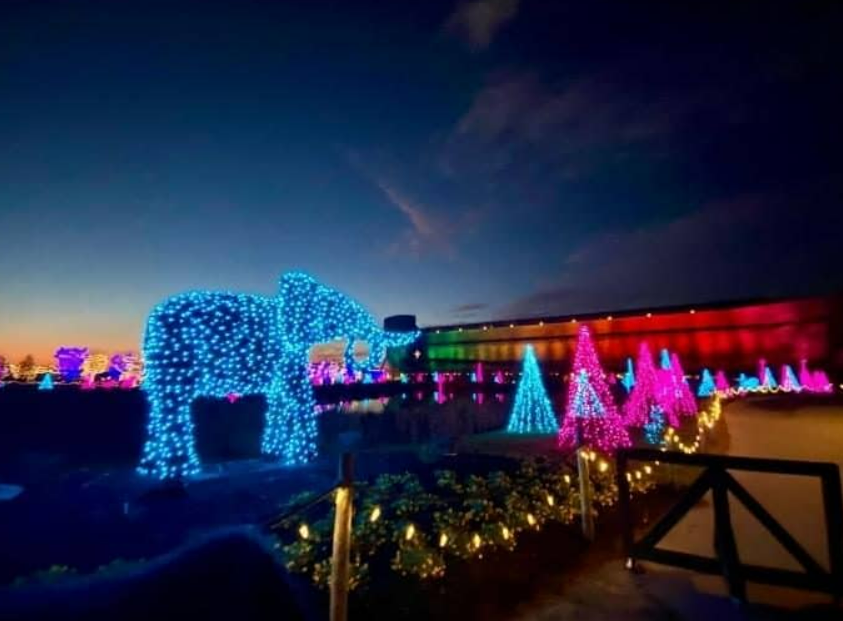 Christmas Lights in Kentucky 2023