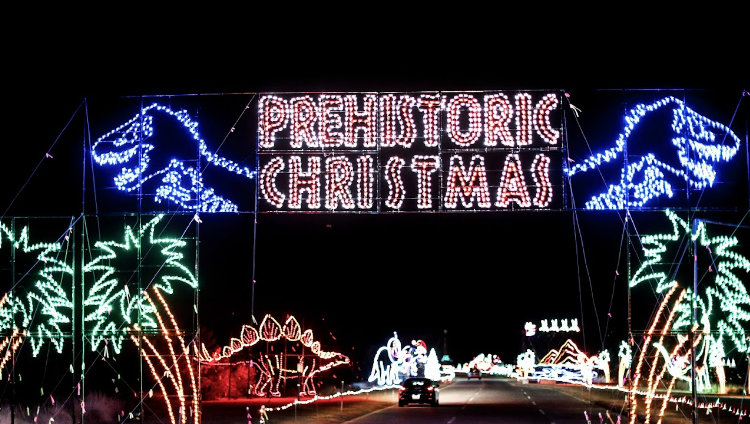Christmas Lights in Florida 2023