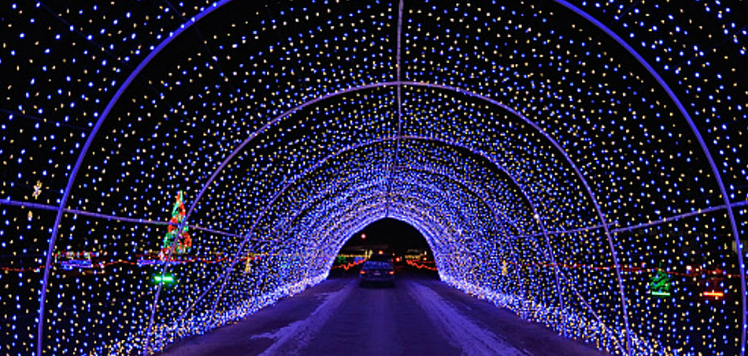 Festival of Lights at Fairgrounds