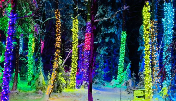 Wild Lights at The Wild Center