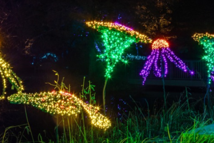 Christmas Lights in Virginia 2023