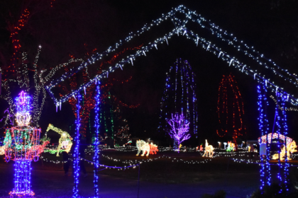 Best Christmas Light Displays in Utah 2023