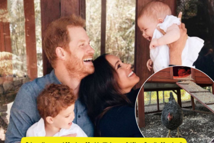 Prince Harry and Meghan Markle Adopted Sinkie