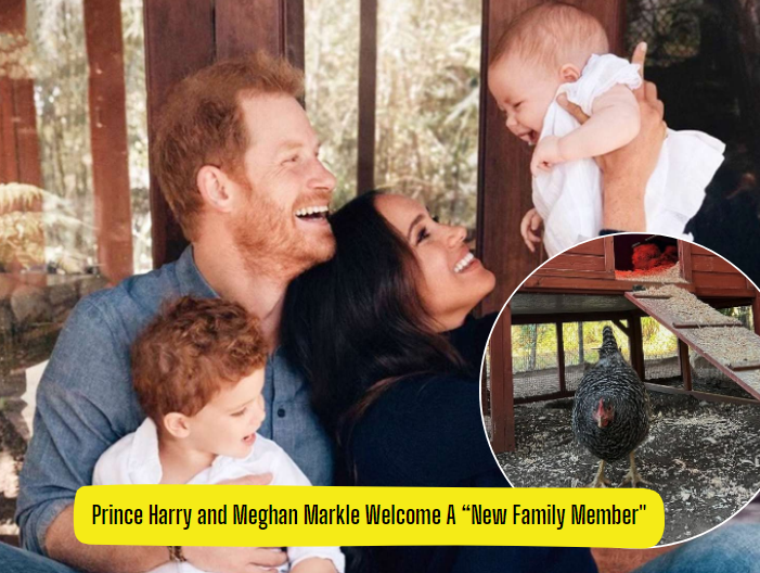 Prince Harry and Meghan Markle Adopted Sinkie